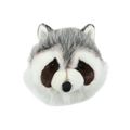 Head Raccoon Josh