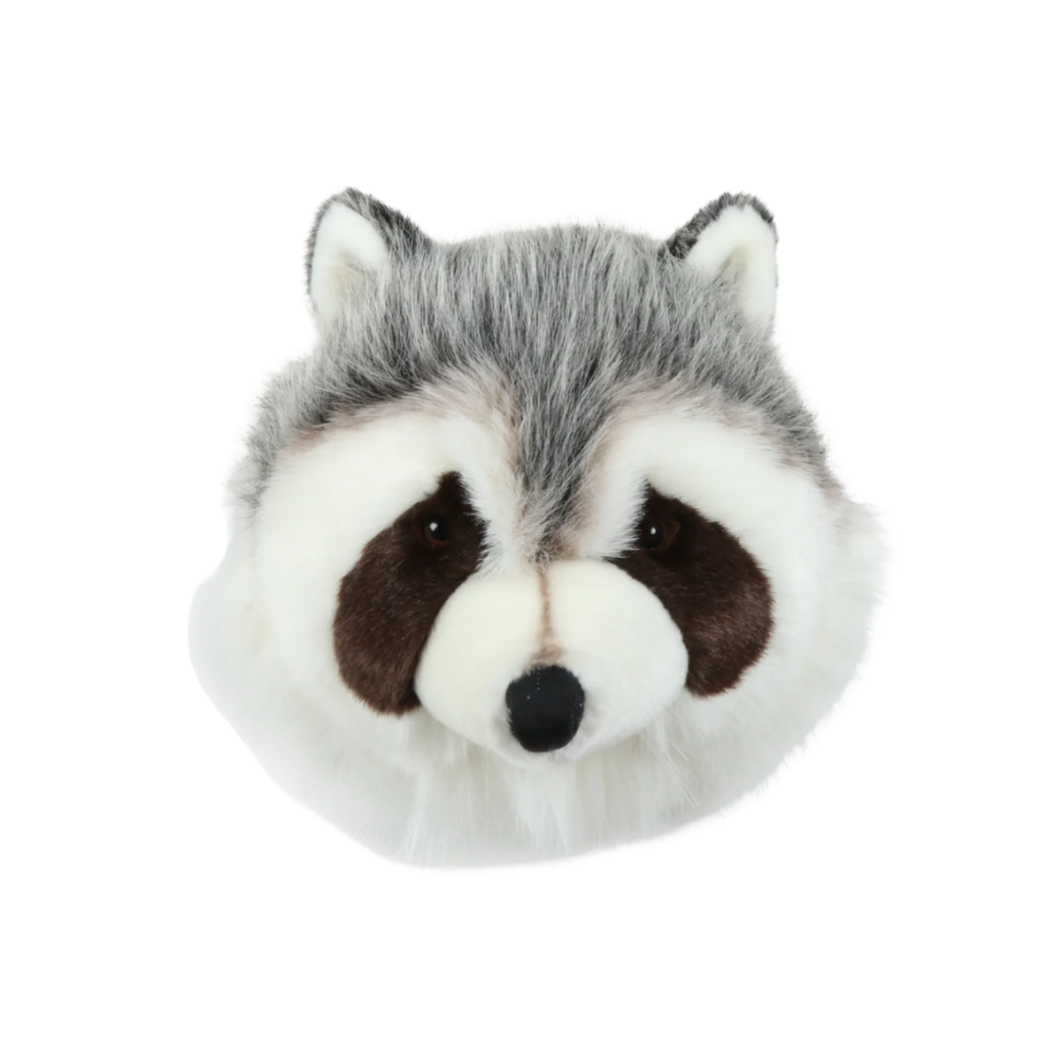 Head Raccoon Josh