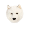 Head White Wolf Lucy