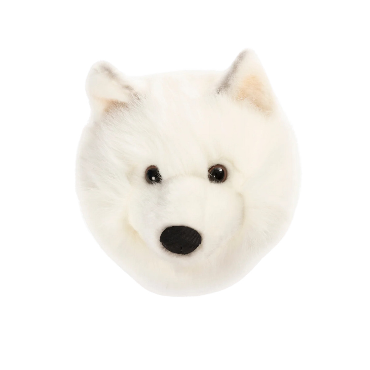 Head White Wolf Lucy