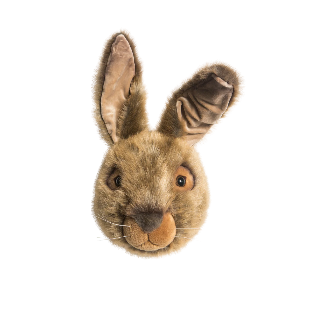 Head Hare Lewis