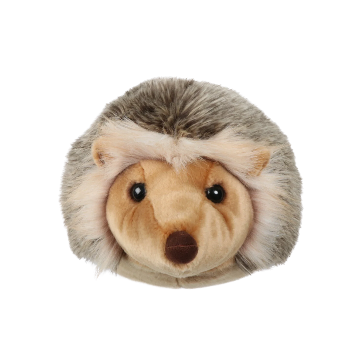 Head Hedgehog Jenna