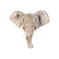 Head Elephant George