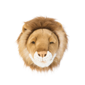 Head Lion Cesar