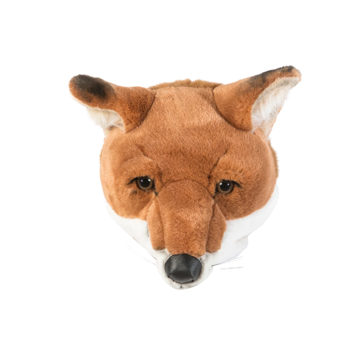 Head Fox Louis
