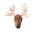 Head Moose Alfred
