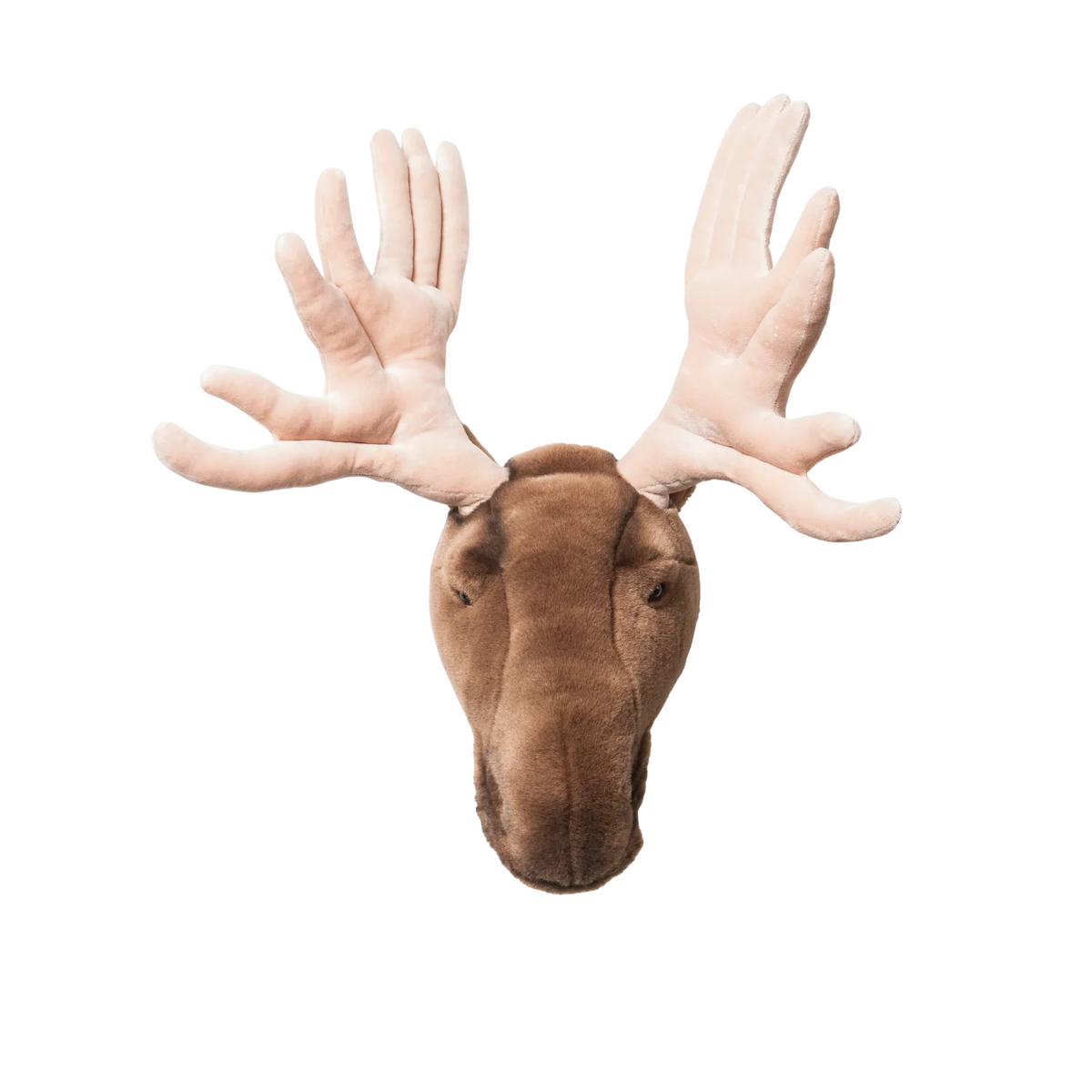 Head Moose Alfred