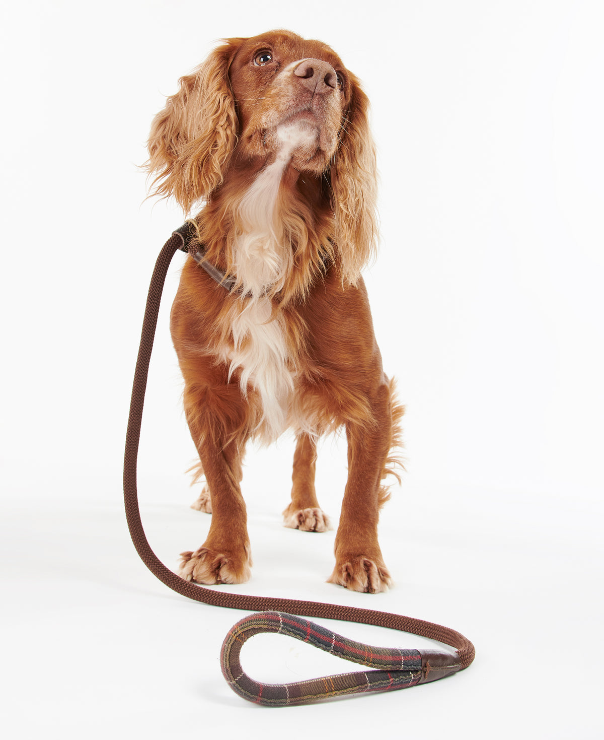 SLIP LEAD