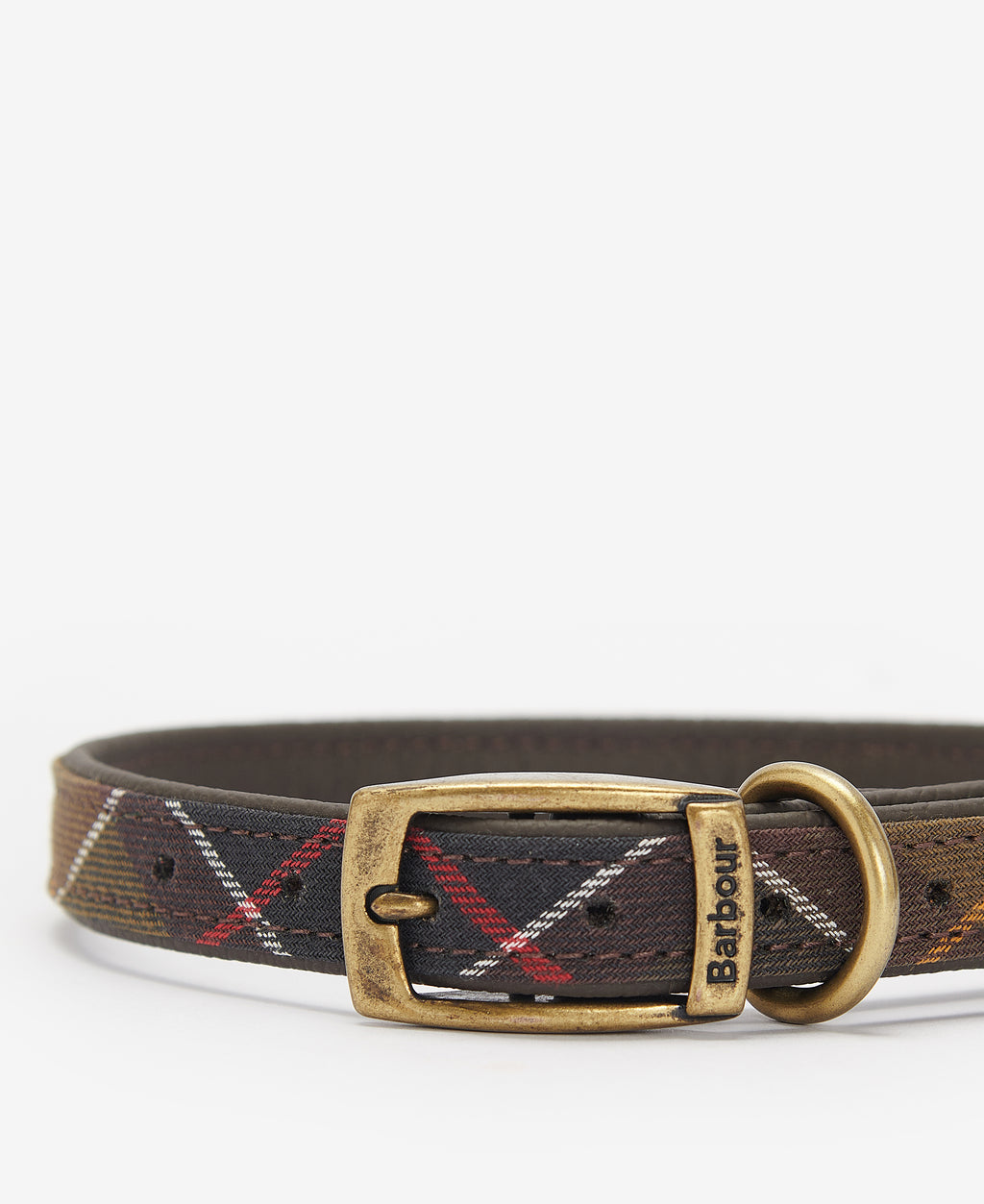 DOG COLLAR