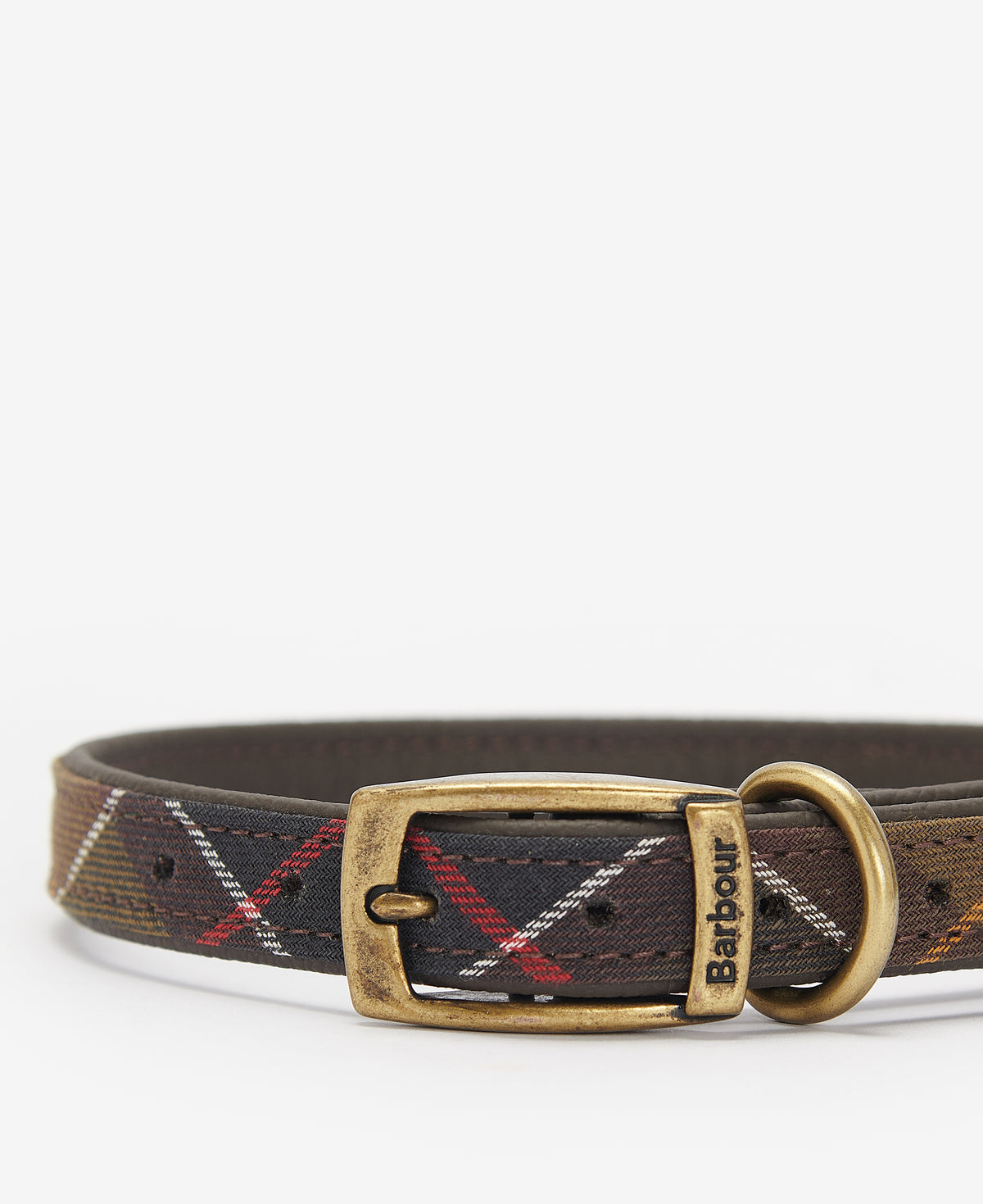 DOG COLLAR