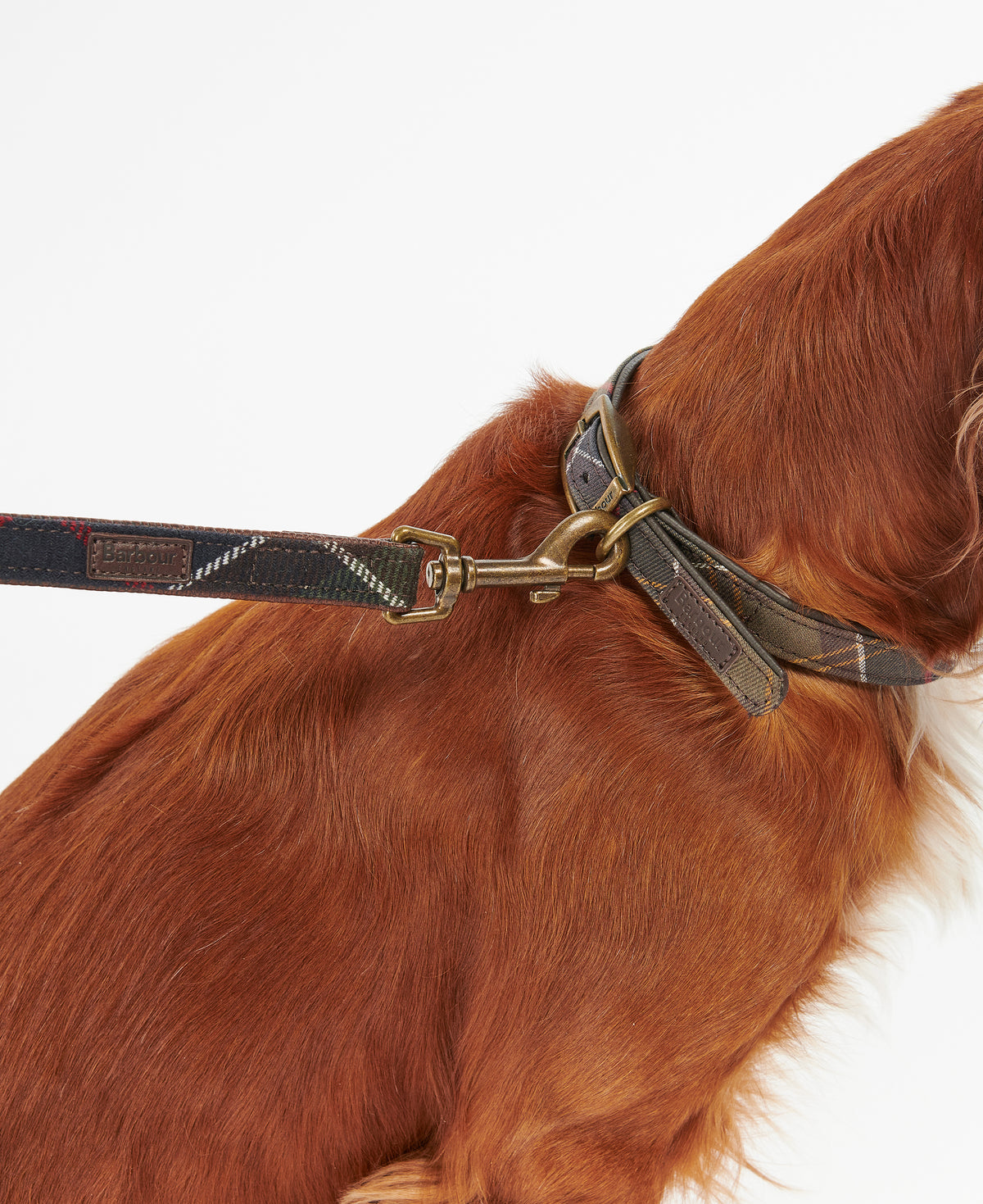 DOG LEAD