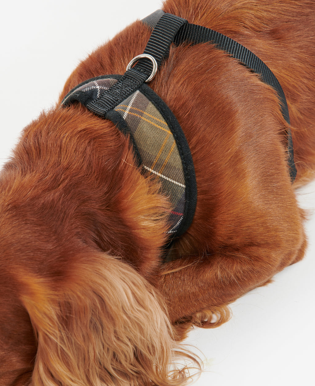 DOG HARNESS