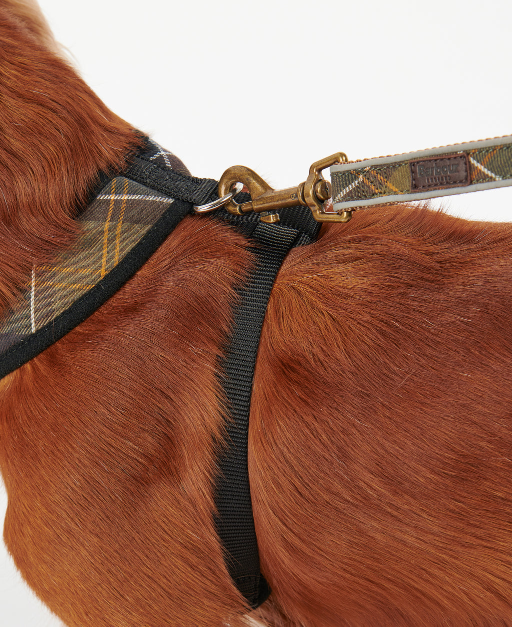 DOG HARNESS