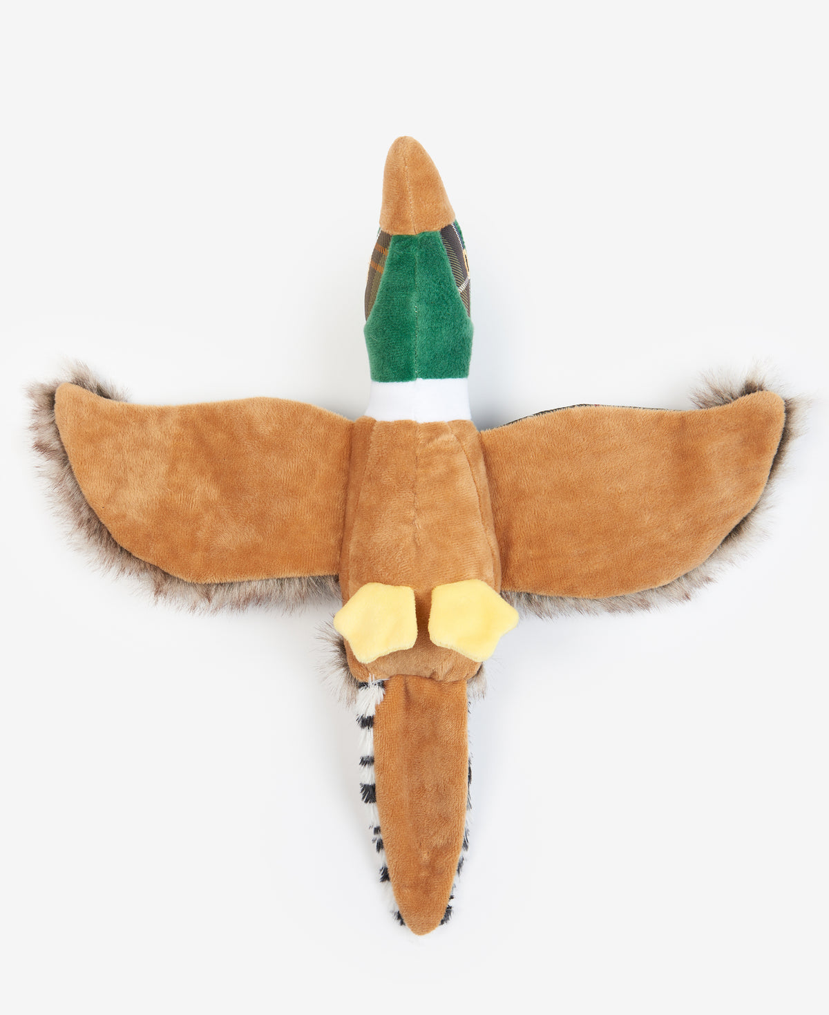 PHEASANT
