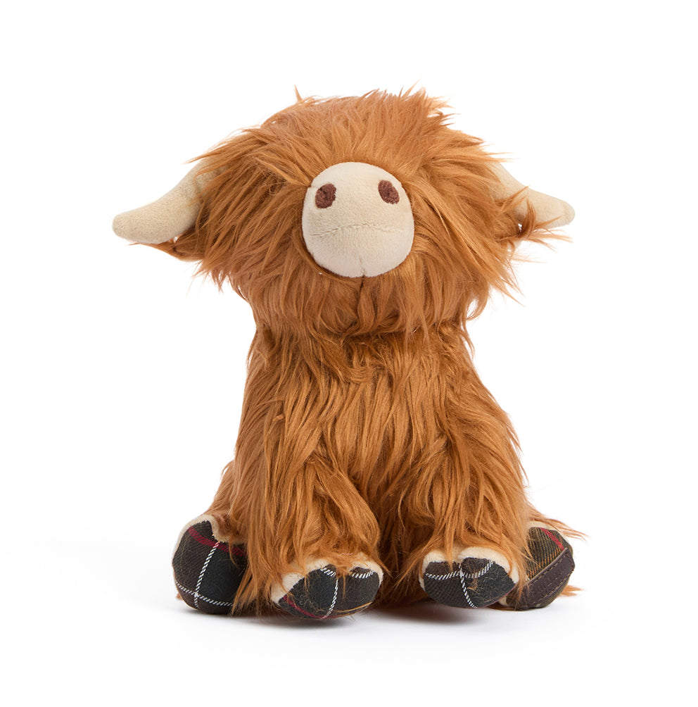 HIGHLAND COW