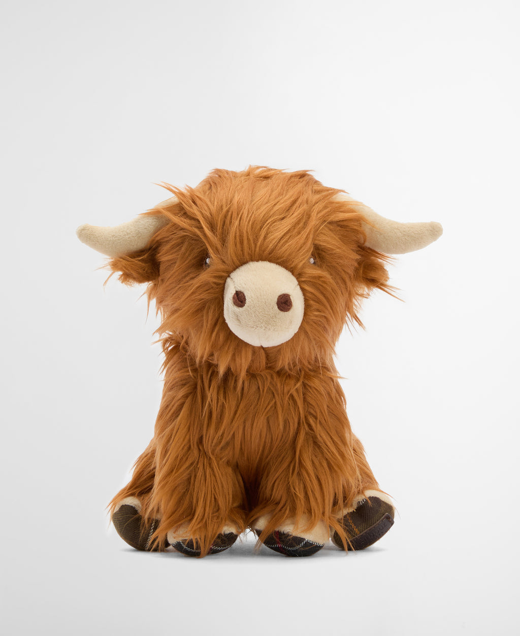HIGHLAND COW