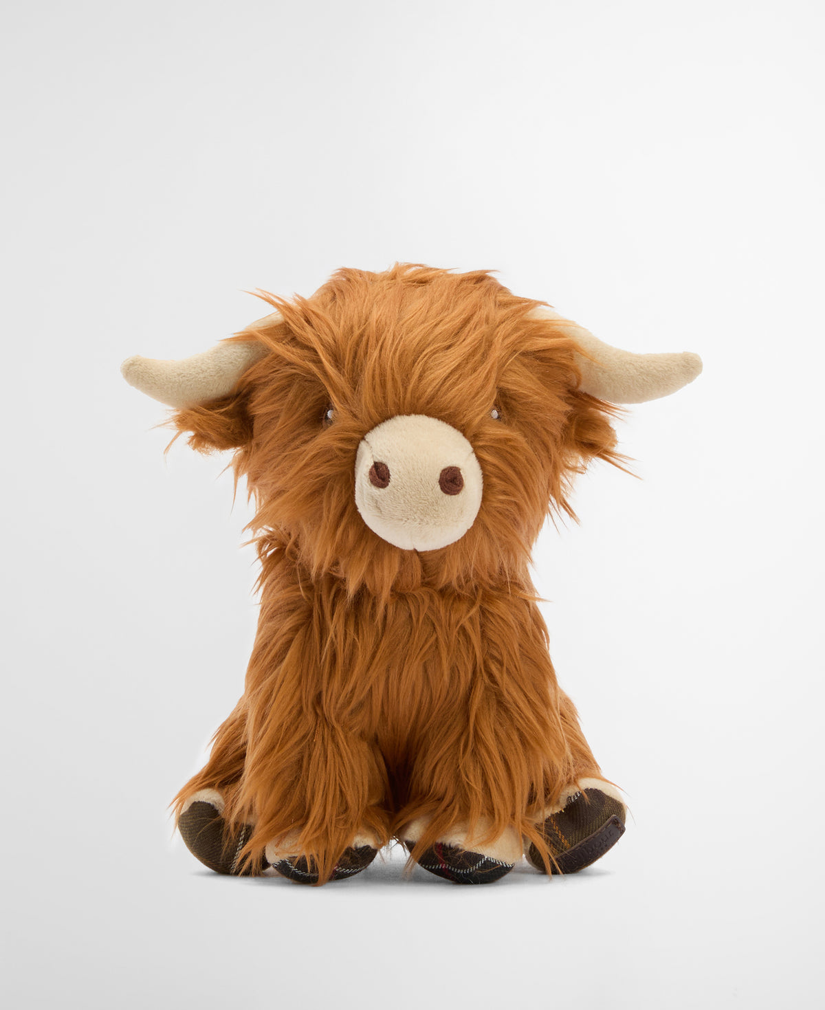 HIGHLAND COW