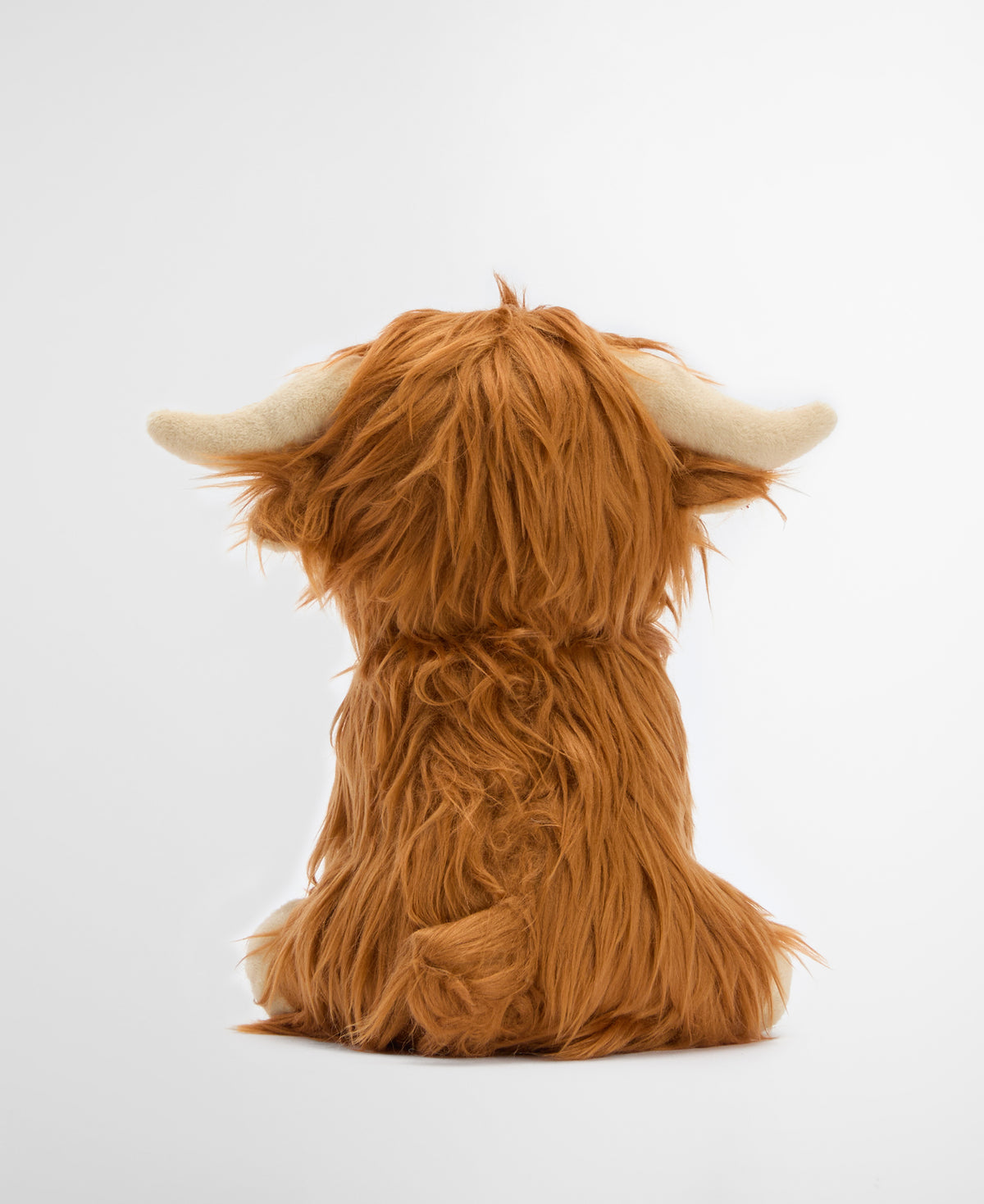 HIGHLAND COW