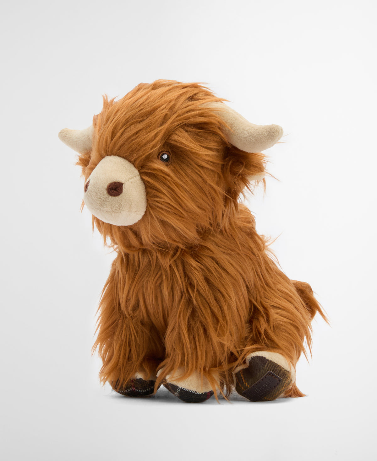 HIGHLAND COW