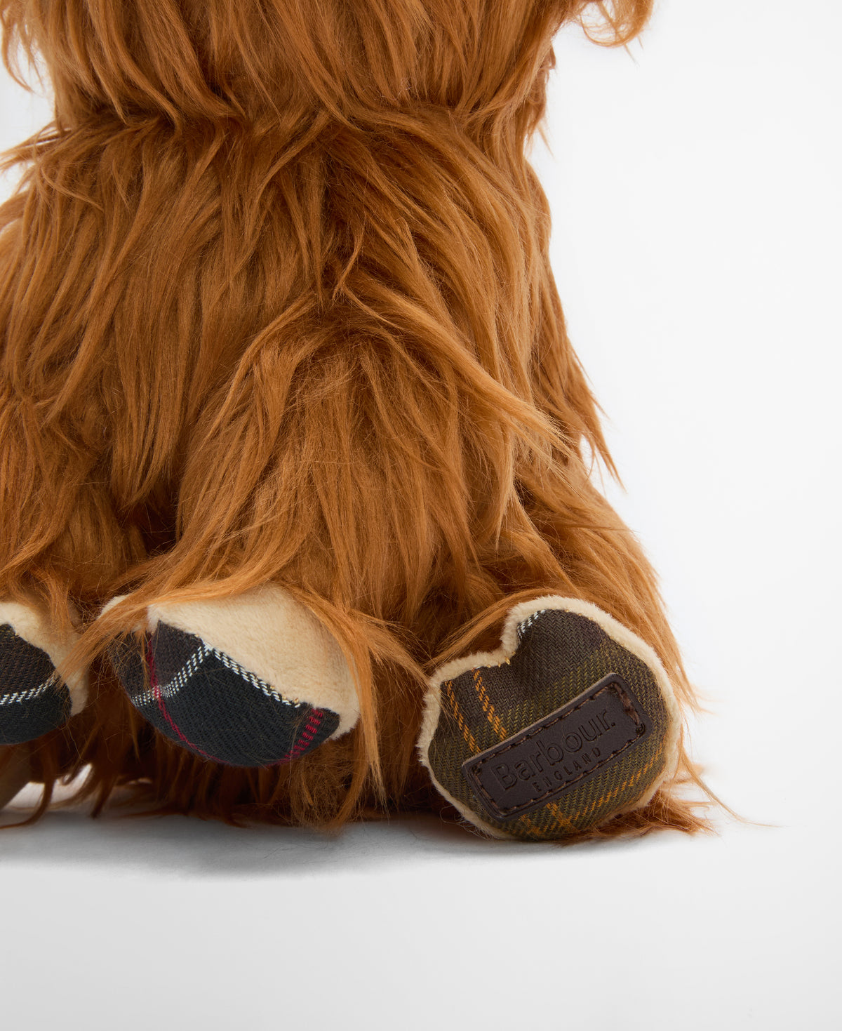 HIGHLAND COW
