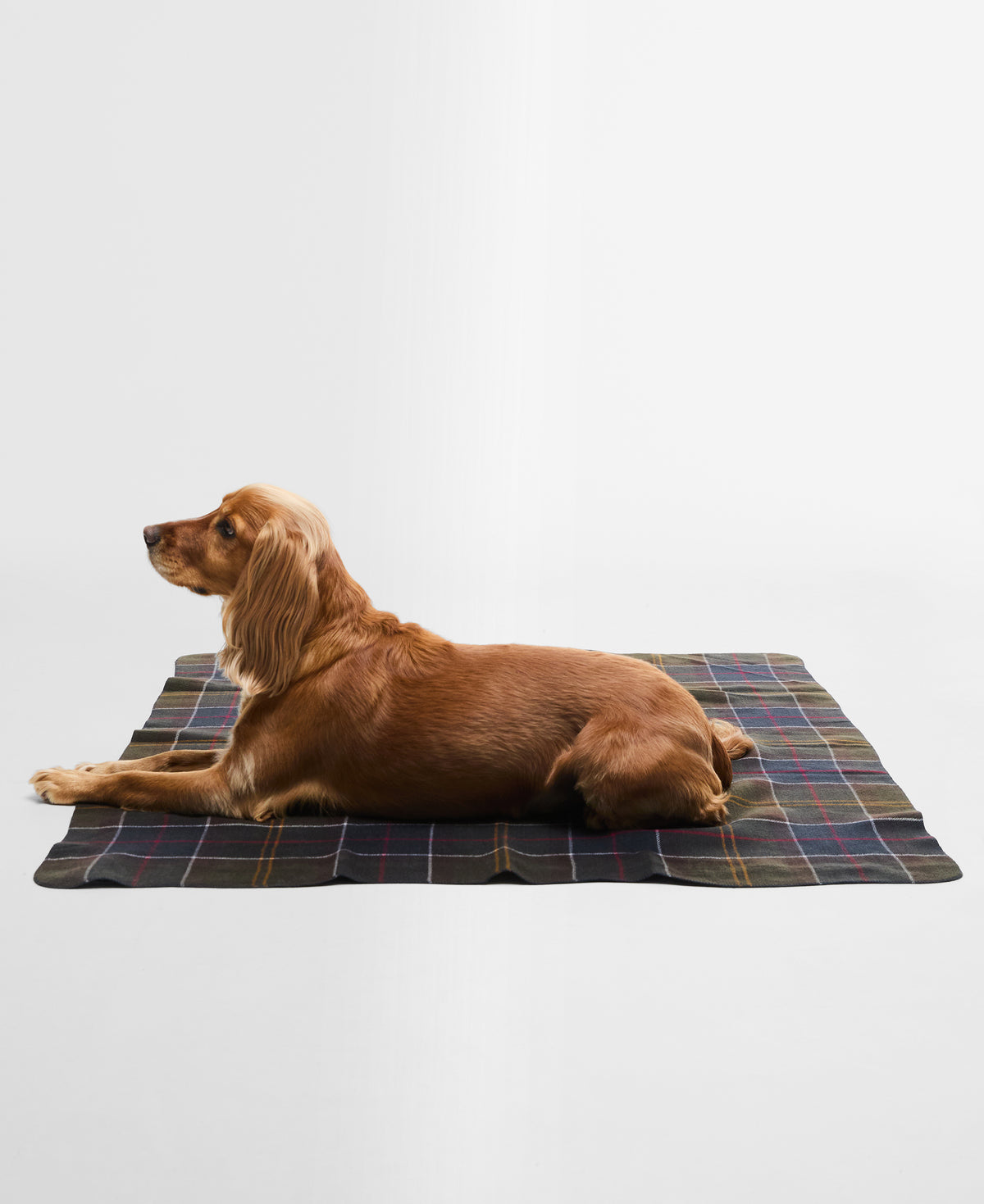 DOG BLANKET