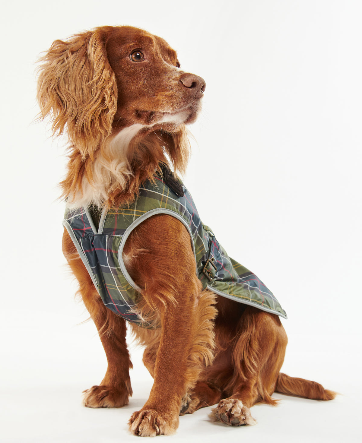 RAIN COAT