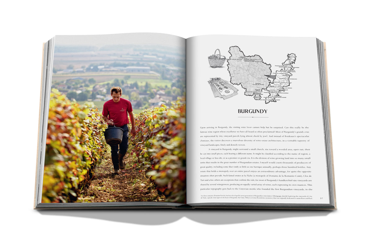 Wine & Travel France