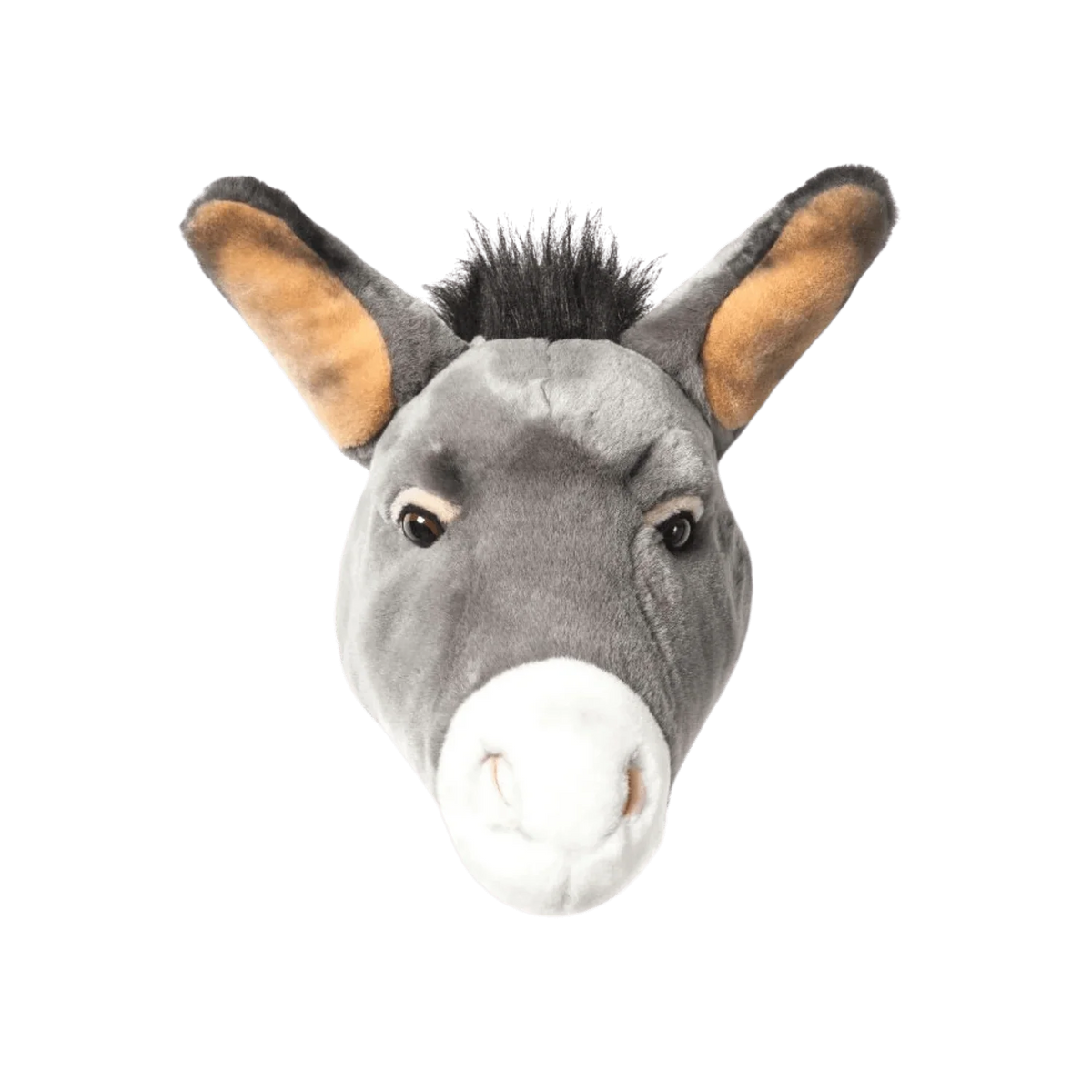 Head Donkey Francis
